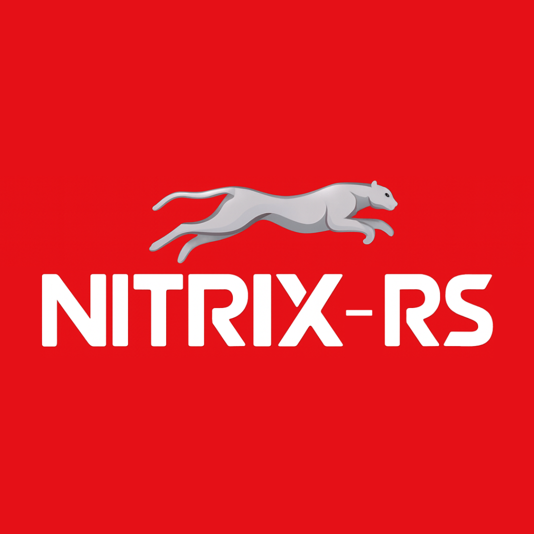 Logo da Nitrix RS, distribuidora de bebidas no Sul do Brasil