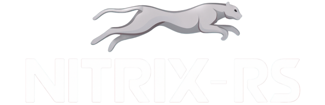 Logo da Nitrix RS, distribuidora de bebidas no Sul do Brasil